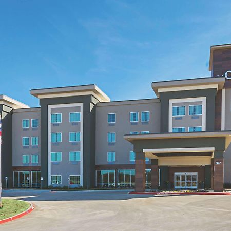 La Quinta By Wyndham Dallas - Wylie Dış mekan fotoğraf